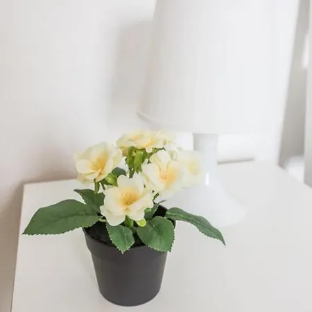 Downtown Selinus Bright With Courtyard Διαμέρισμα *